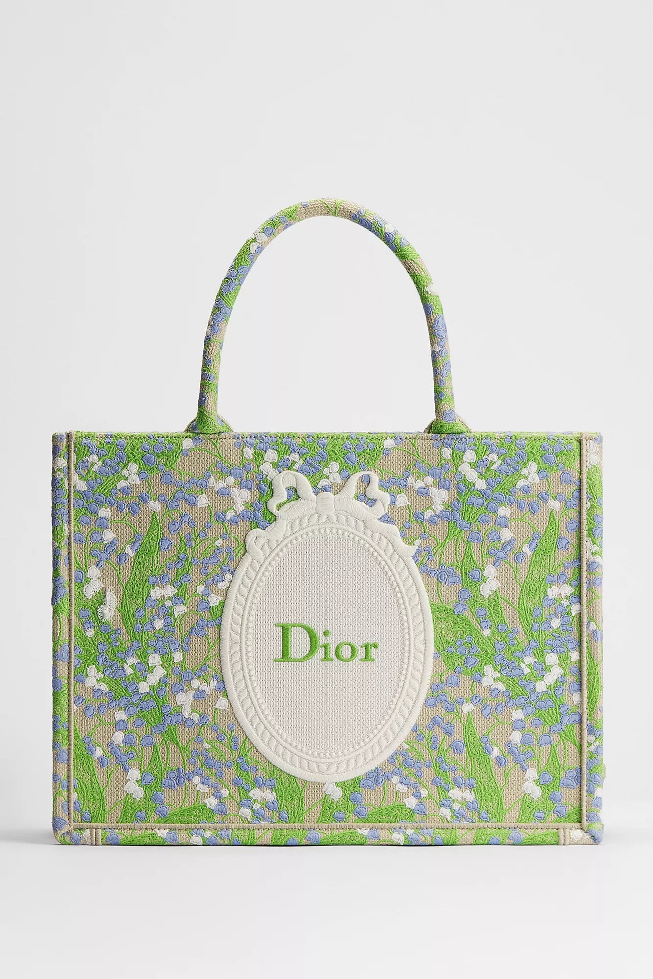 Mittelgroße Dior Book Tote